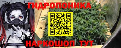 соль ск Гусев