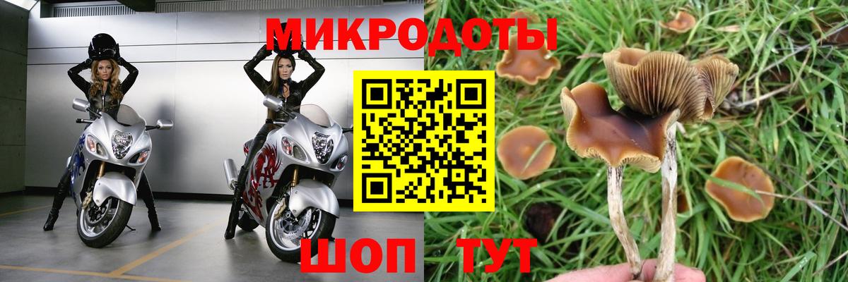 Псилоцибиновые грибы Psilocybe  купить наркоту  Мариинск  Вход с VPN 